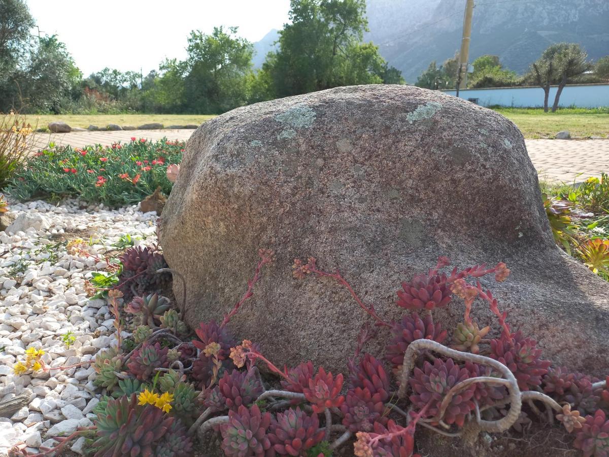 Agriturismo B&B Mares E Montes De Marrante シニスコーラ エクステリア 写真