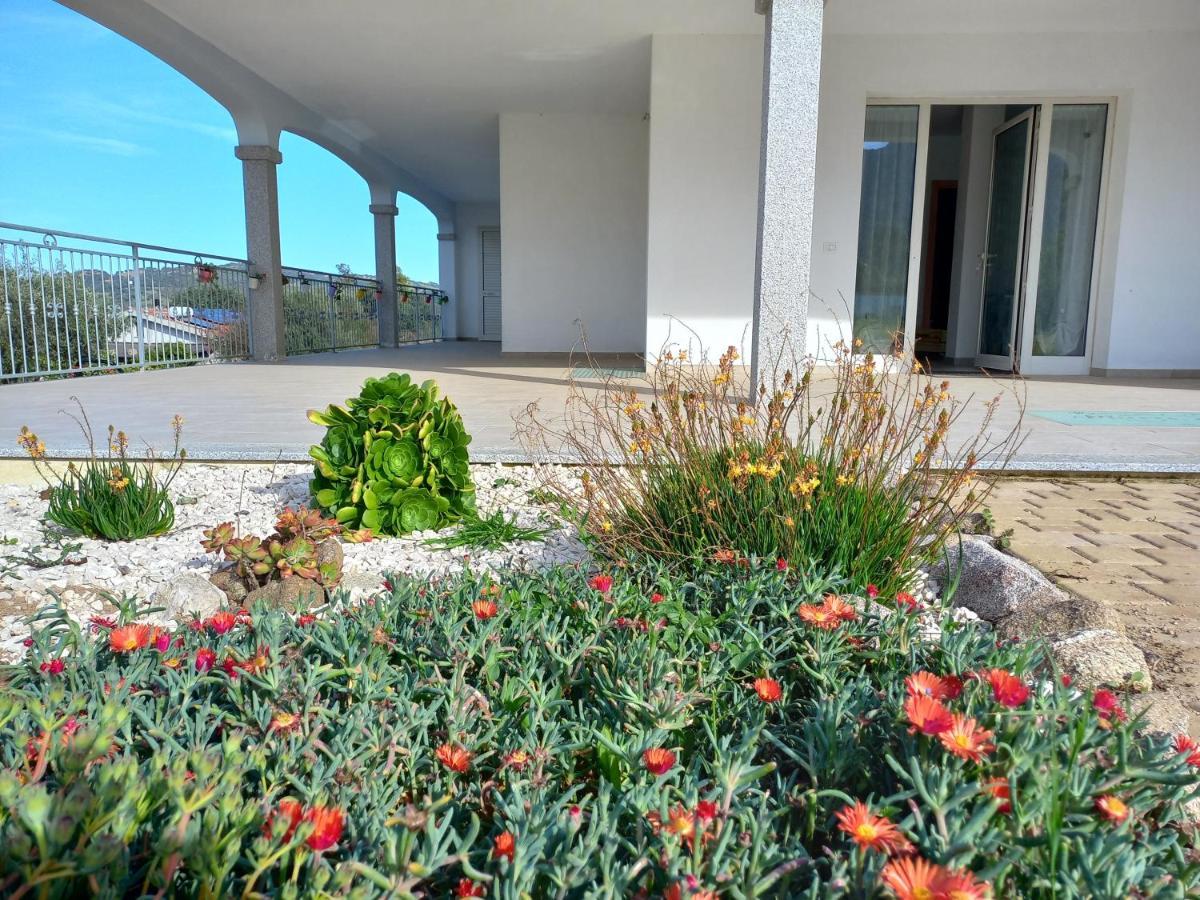 Agriturismo B&B Mares E Montes De Marrante シニスコーラ エクステリア 写真