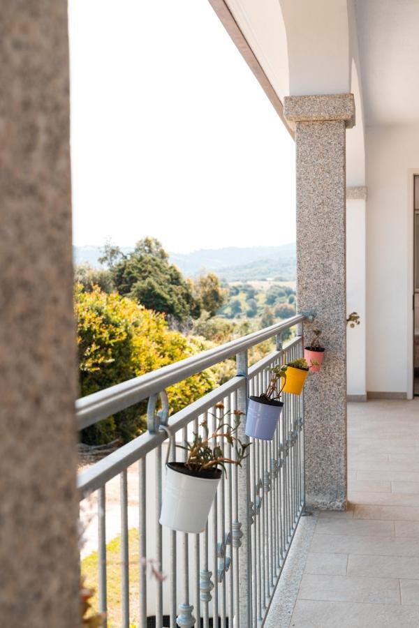 Agriturismo B&B Mares E Montes De Marrante シニスコーラ エクステリア 写真