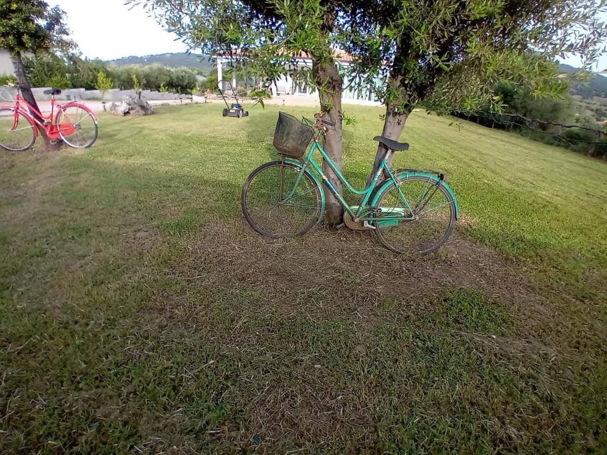 Agriturismo B&B Mares E Montes De Marrante シニスコーラ エクステリア 写真