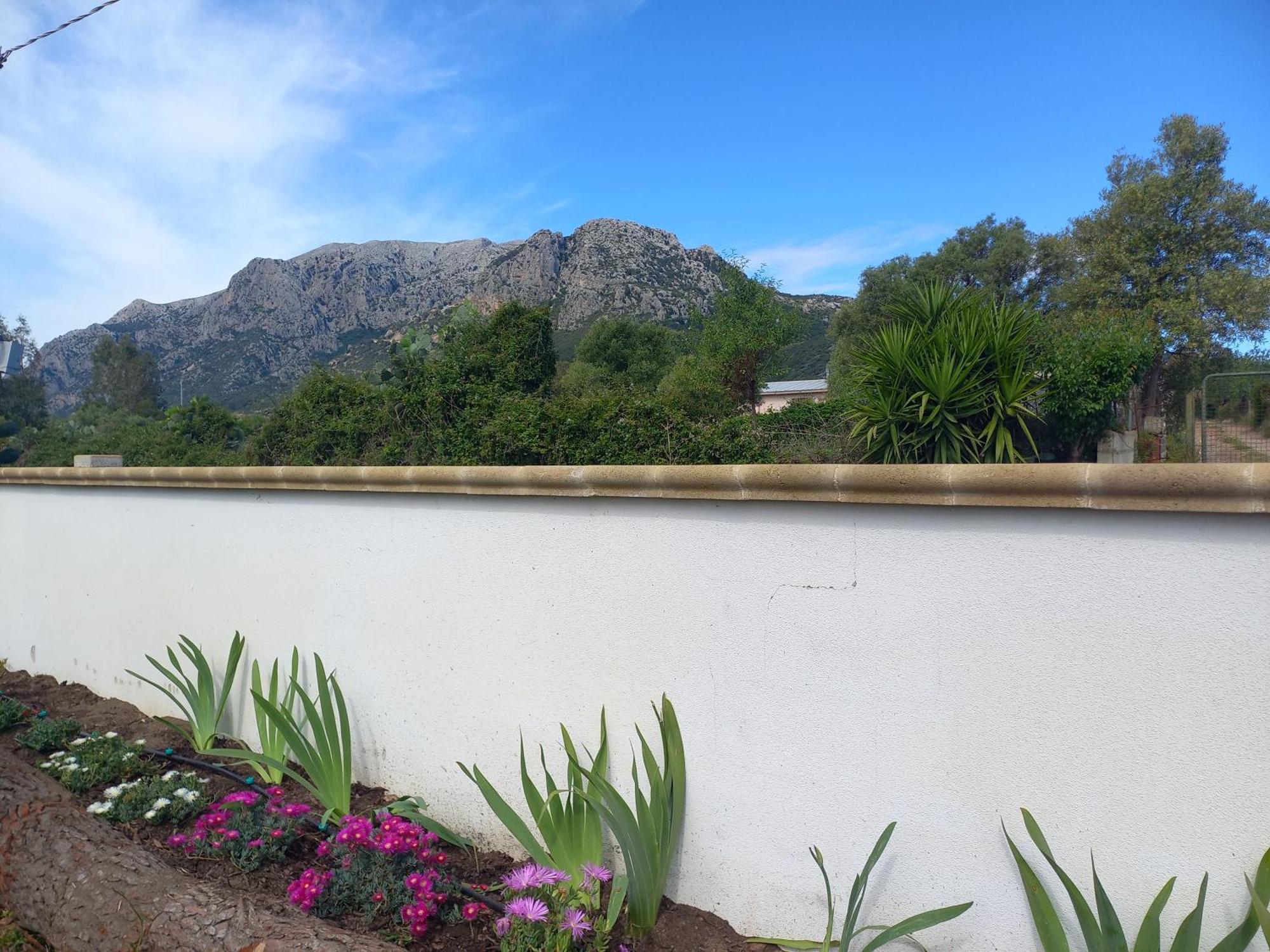 Agriturismo B&B Mares E Montes De Marrante シニスコーラ エクステリア 写真