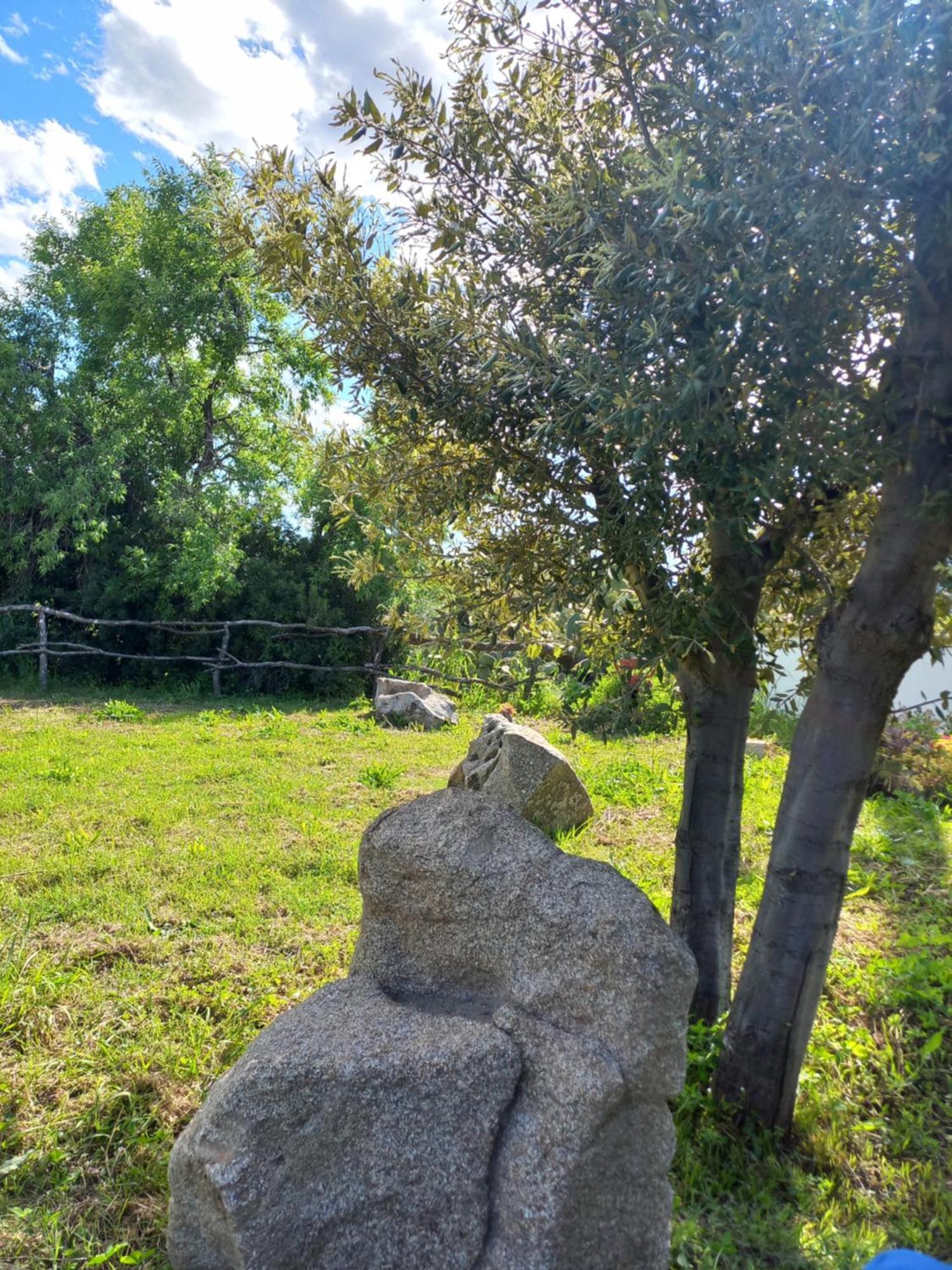 Agriturismo B&B Mares E Montes De Marrante シニスコーラ エクステリア 写真