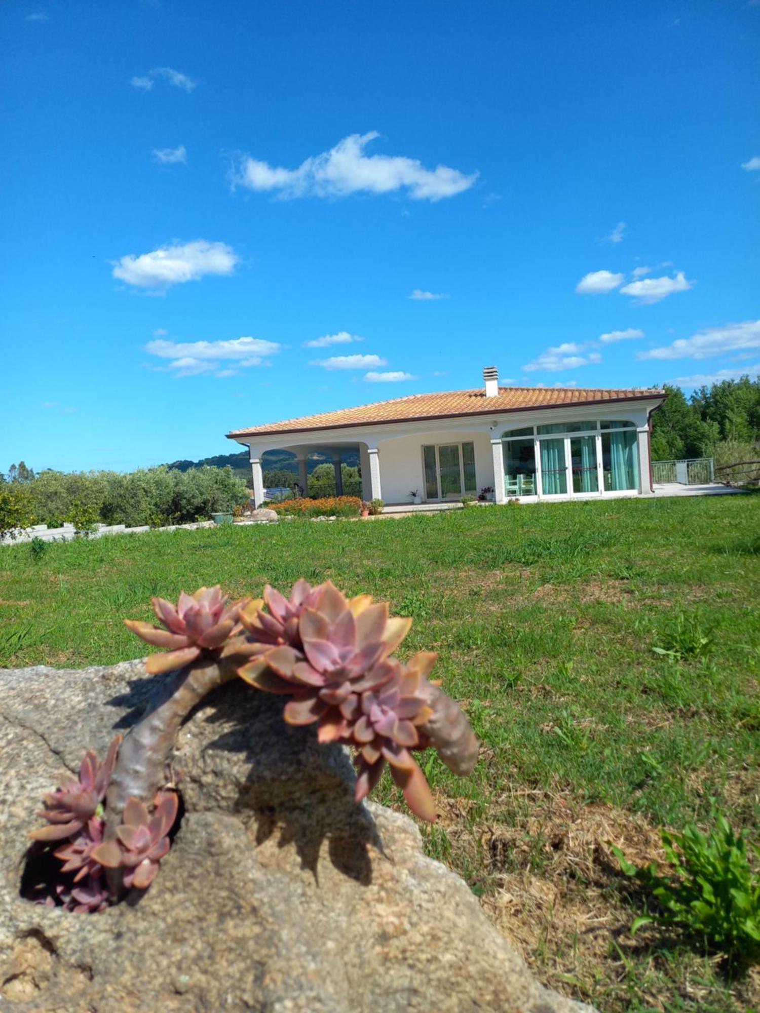 Agriturismo B&B Mares E Montes De Marrante シニスコーラ エクステリア 写真