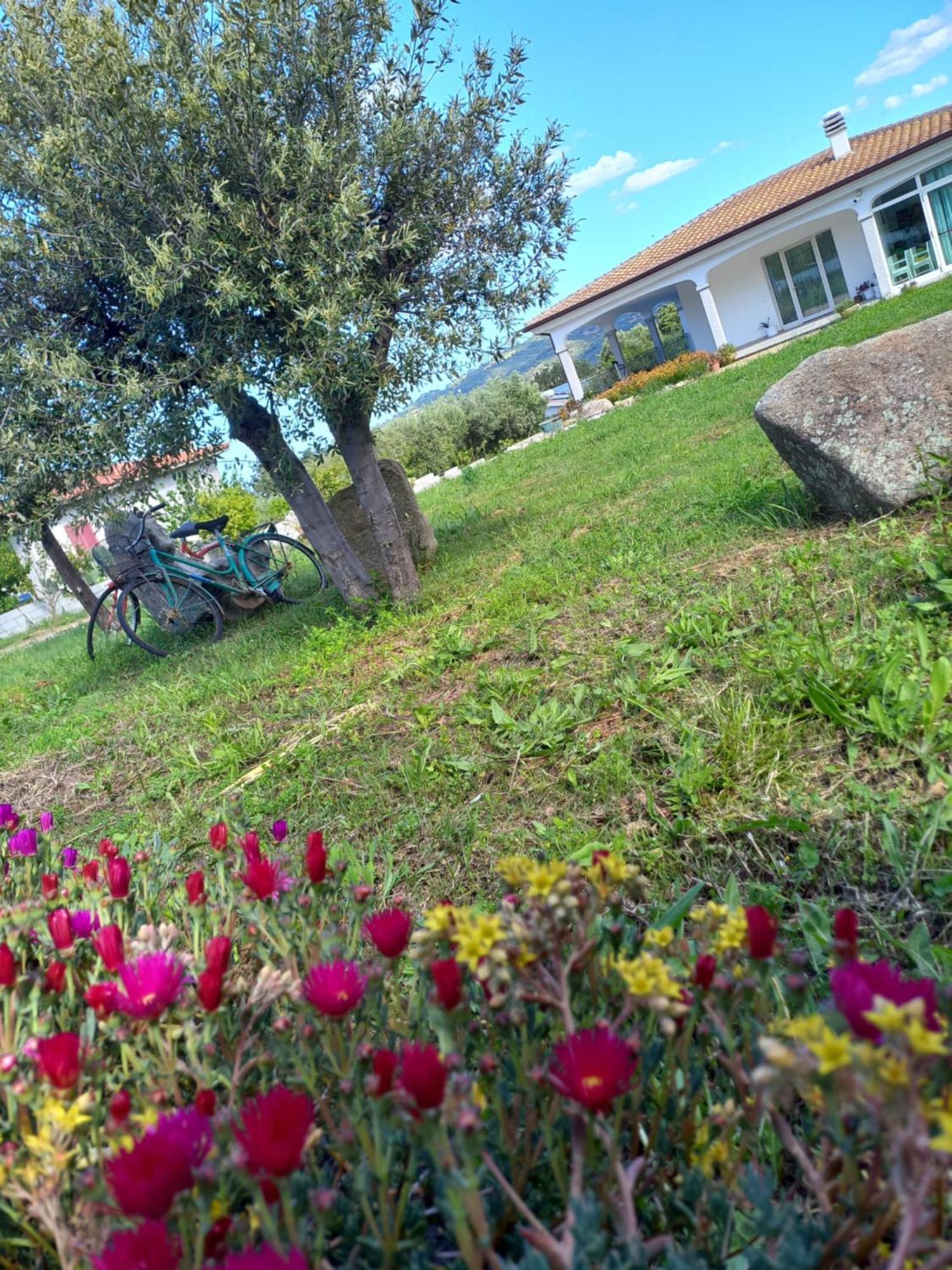 Agriturismo B&B Mares E Montes De Marrante シニスコーラ エクステリア 写真